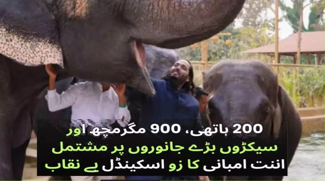 Supreme Court Orders Major Investigation into Anant Ambani's Vantara Wildlife Sanctuary