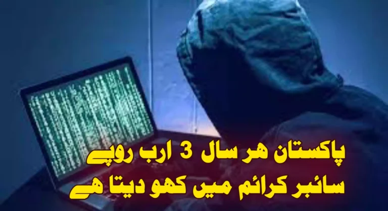 Pakistan Faces Rs. 3 Billion Annual Loss from Cyber Fraud, Senate Committee Reveals