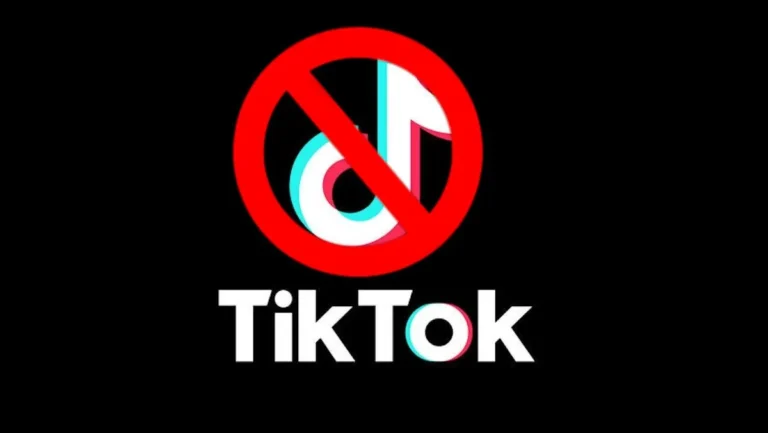 Punjab Assembly Pushes for Permanent TikTok Ban Over Youth Safety Concerns