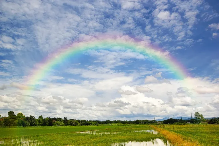 Science of Rainbows: Why Seven Colors Appear After Rain