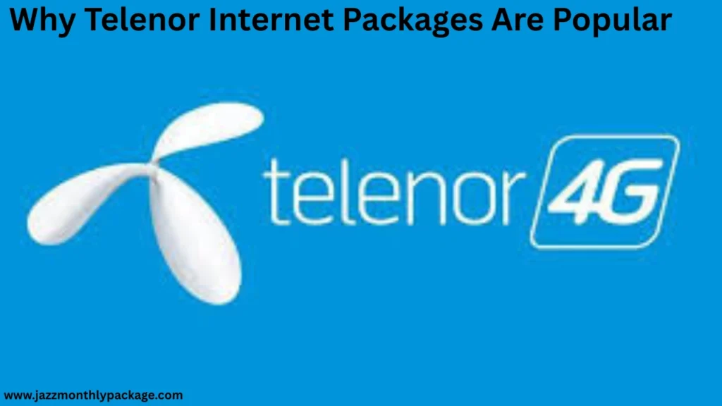 Why Telenor Internet Packages Are Popular