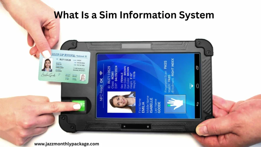 What Is a Sim Information System