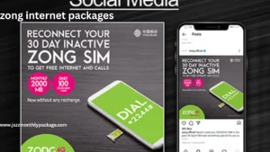 zong internet packages