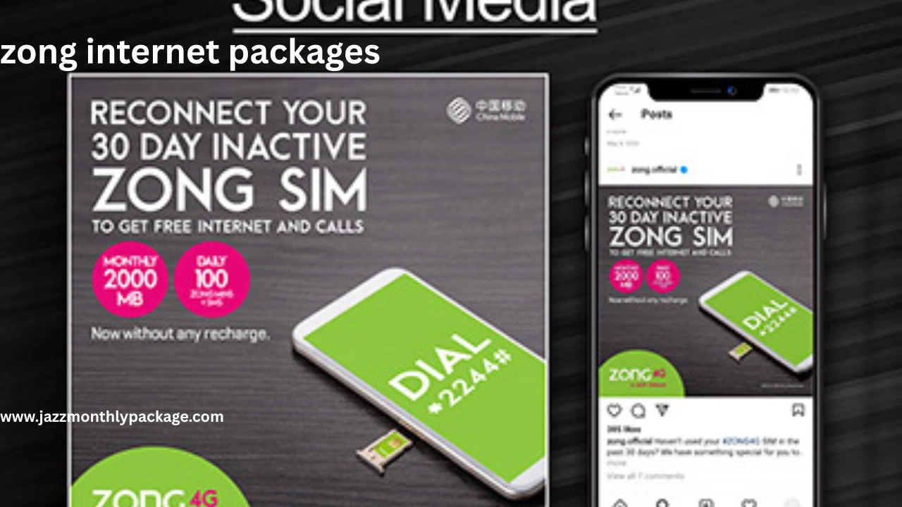 zong internet packages
